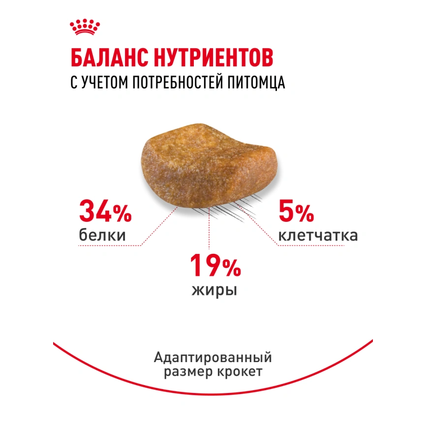 Сухой корм Royal Canin British Shorthair для кошек породы британская короткошерстная, 400 г фото 22