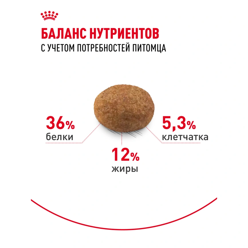 Сухой корм Royal Canin Sterilised 7+ для стерилизованных кошек и кастрированных котов, 3.5 кг фото 17