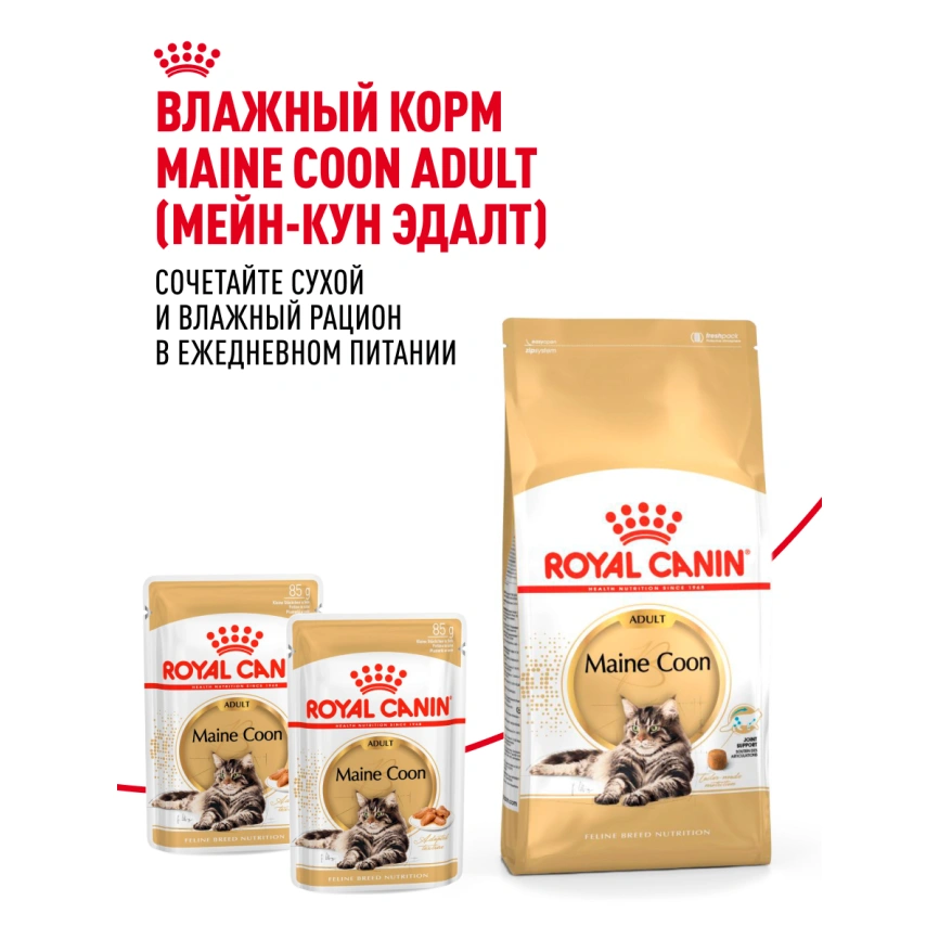Сухой корм Royal Canin Maine Coon для кошек, 10 кг фото 29