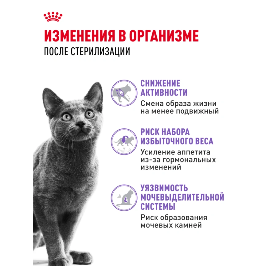 Сухой корм Royal Canin Sterilised для кастрированных котов и стерилизованных кошек, 400 г фото 21