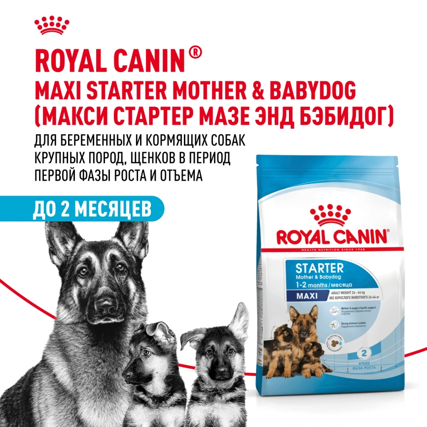 Сухой корм Royal Canin Maxi Starter Mother & Babydog для собак, 15 кг фото 2