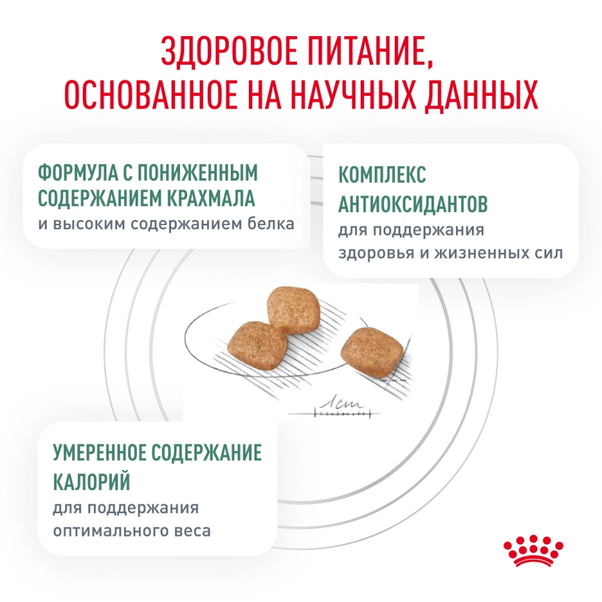 Сухой корм Royal Canin Diabetiс для кошек, 350 г фото 10