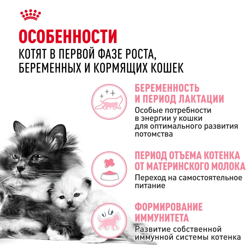 Сухой корм Royal Canin Mother & Babycat для котят, беременных и лактирующих кошек, 400 г фото 3