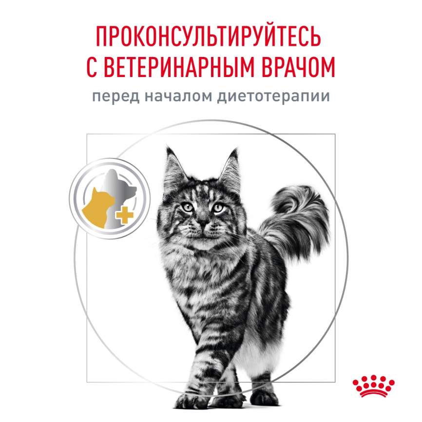 Сухой корм Royal Canin Urinary S/O для кошек при мочекаменной болезни, 3,5 кг фото 9