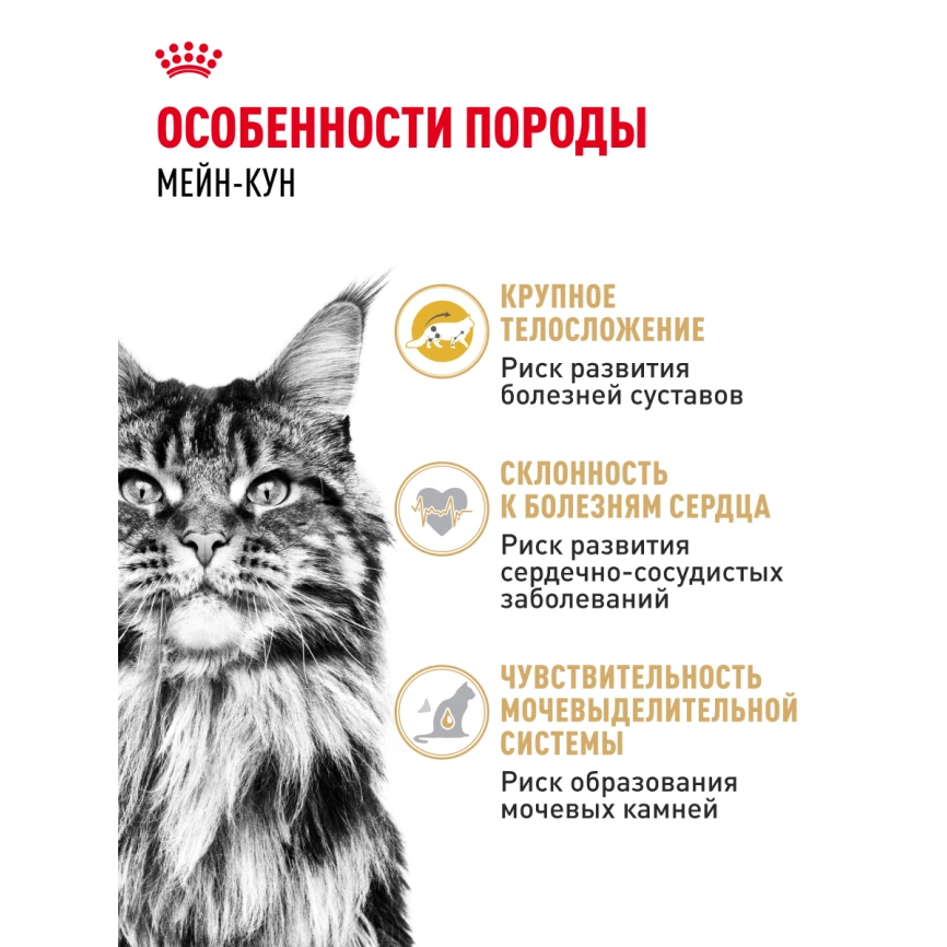 Сухой корм Royal Canin Maine Coon для кошек, 10 кг фото 23