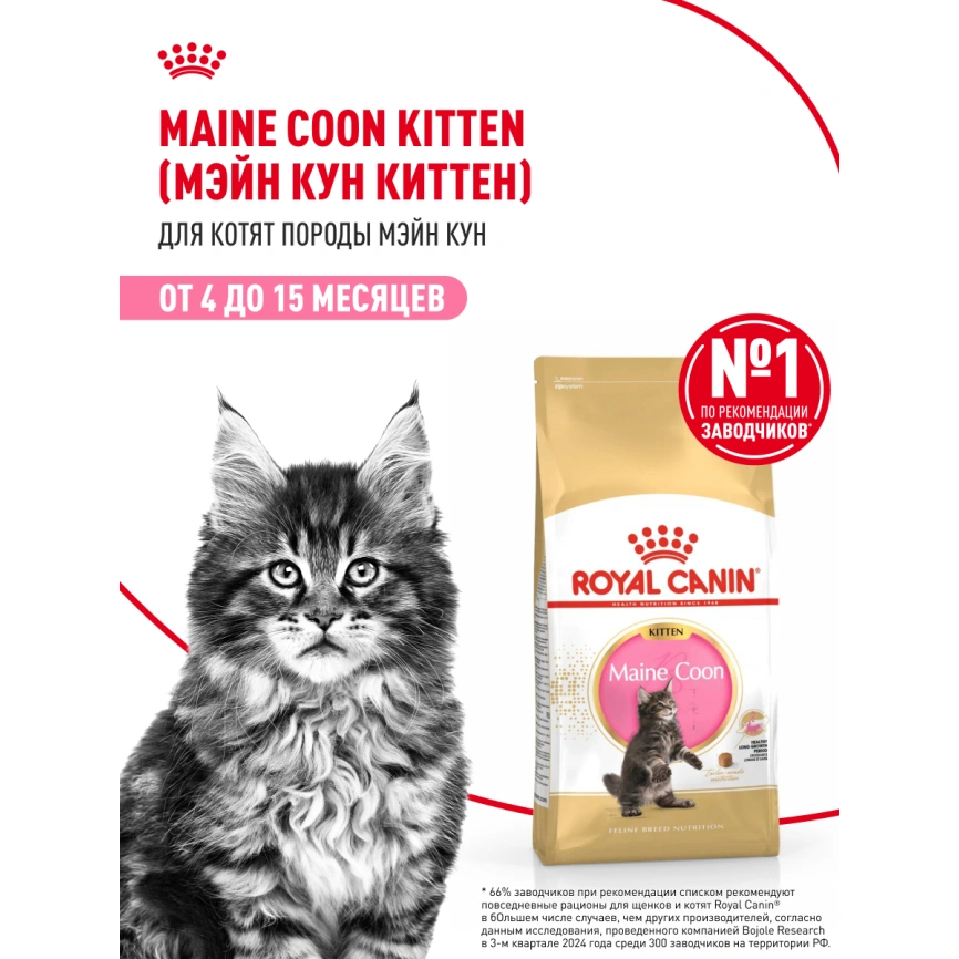 Сухой корм Royal Canin Kitten Maine Coon для котят, 10 кг фото 13