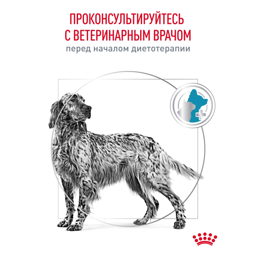 Сухой корм Royal Canin Hypoallergeniс для собак, 14 кг фото 22