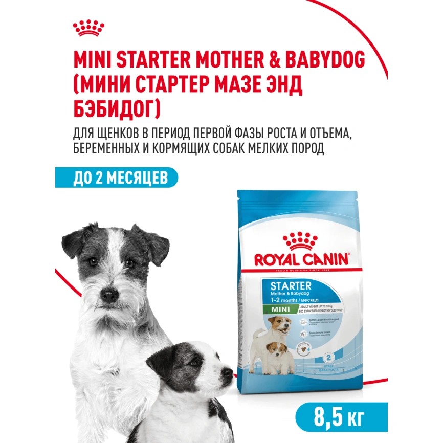 Сухой корм Royal Canin Mini Starter Mother & Babydog для щенков и кормящих сук, 8,5 кг фото 14
