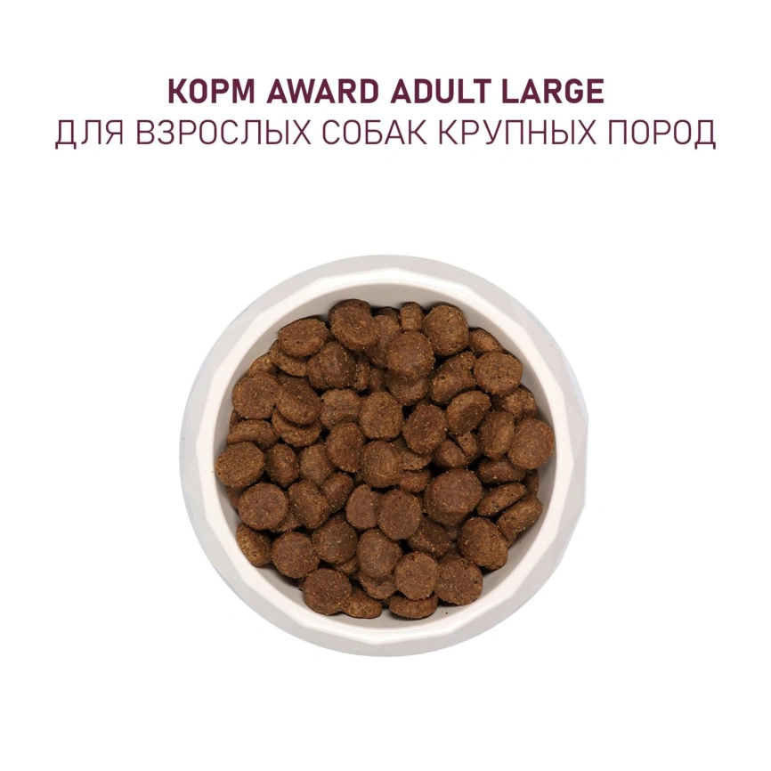 Сухой корм AWARD Turkey & Chicken & Pumpkin для взрослых собак крупных пород с индейкой, курицей и тыквой, 2 кг фото 7