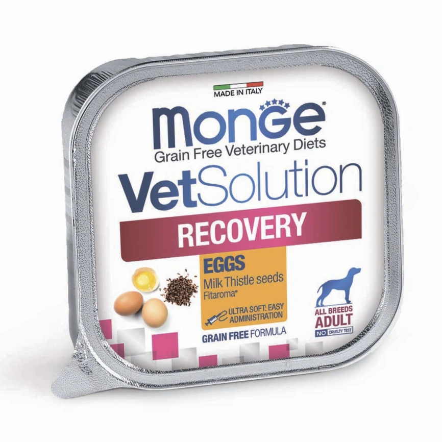 Диетический корм Monge VetSolution Dog Recovery для собак, для восстановления питания в период выздоровления, 150 г фото 1