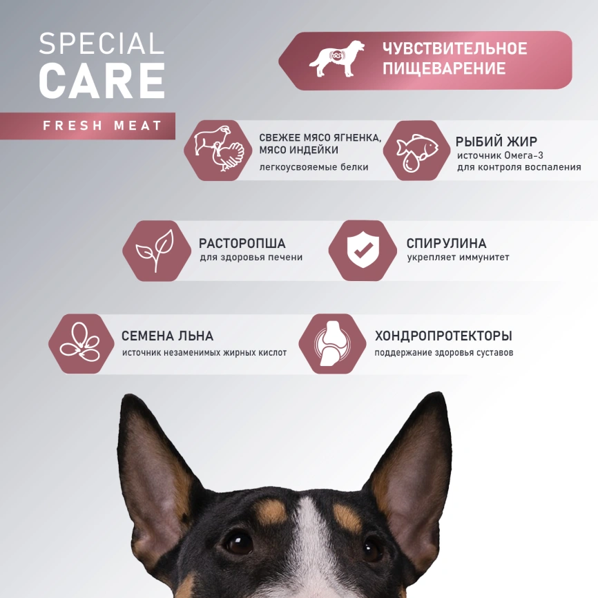 Сухой корм AWARD Special Care Sensitive Digestion Lamb для взрослых собак всех пород с ягненком, 2 кг фото 4