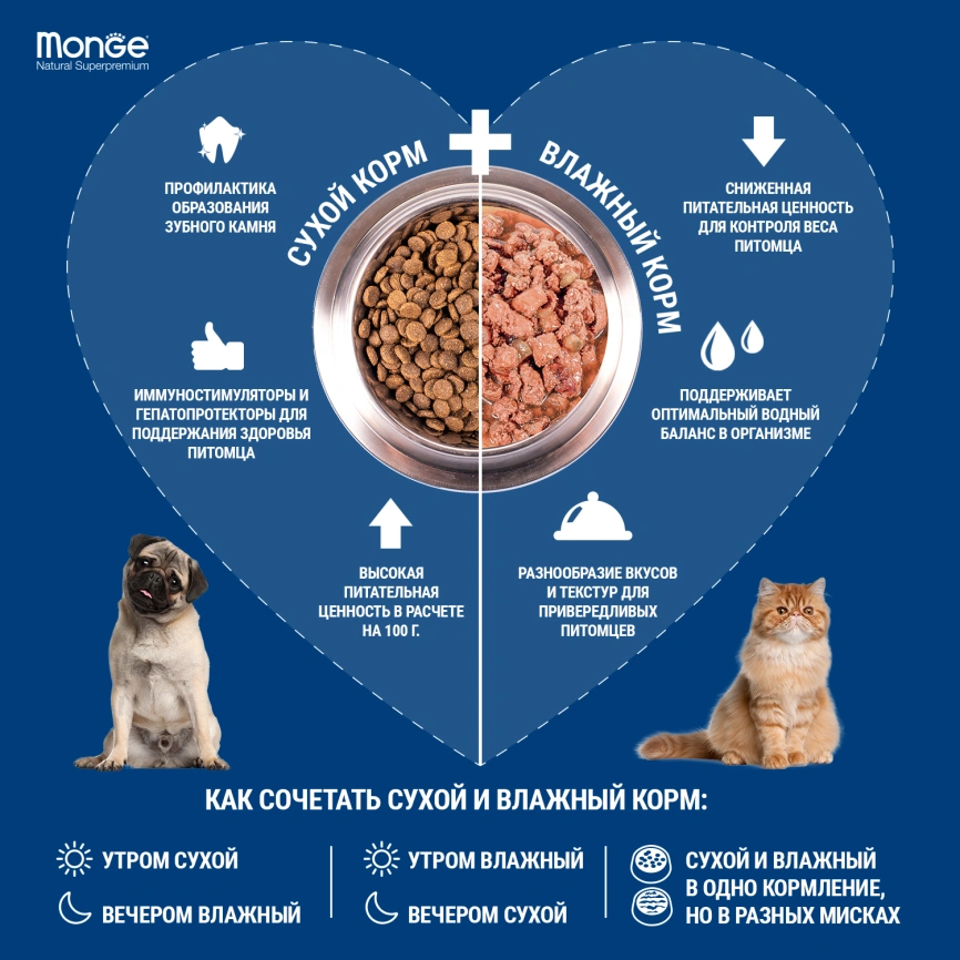 Влажный корм Monge Cat Grill Lamb для взрослых кошек с мясом ягненка, 85 г фото 3