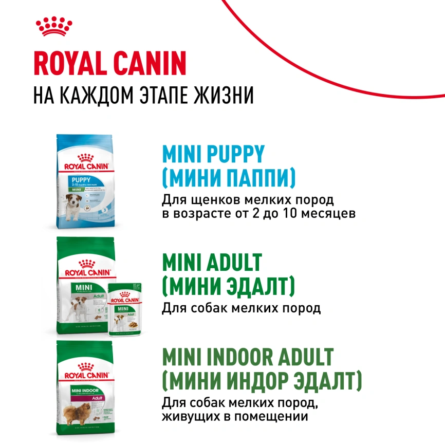Сухой корм Royal Canin Mini Starter Mother & Babydog для щенков и кормящих сук, 8,5 кг фото 9
