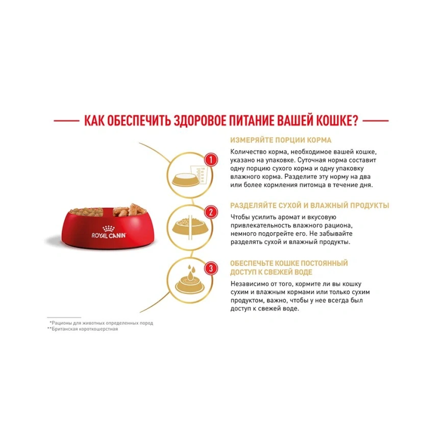 Сухой корм Royal Canin British Shorthair для кошек породы британская короткошерстная, 10 кг фото 21