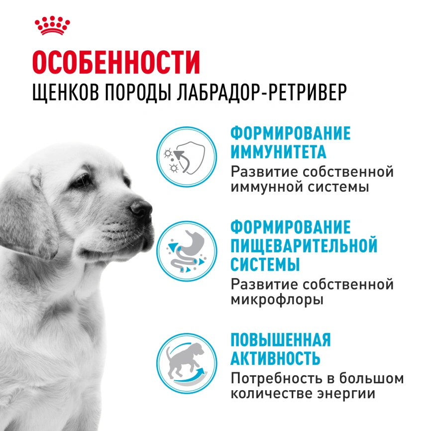 Сухой корм Royal Canin Labrador Retriever Puppy для щенков, 3 кг фото 2