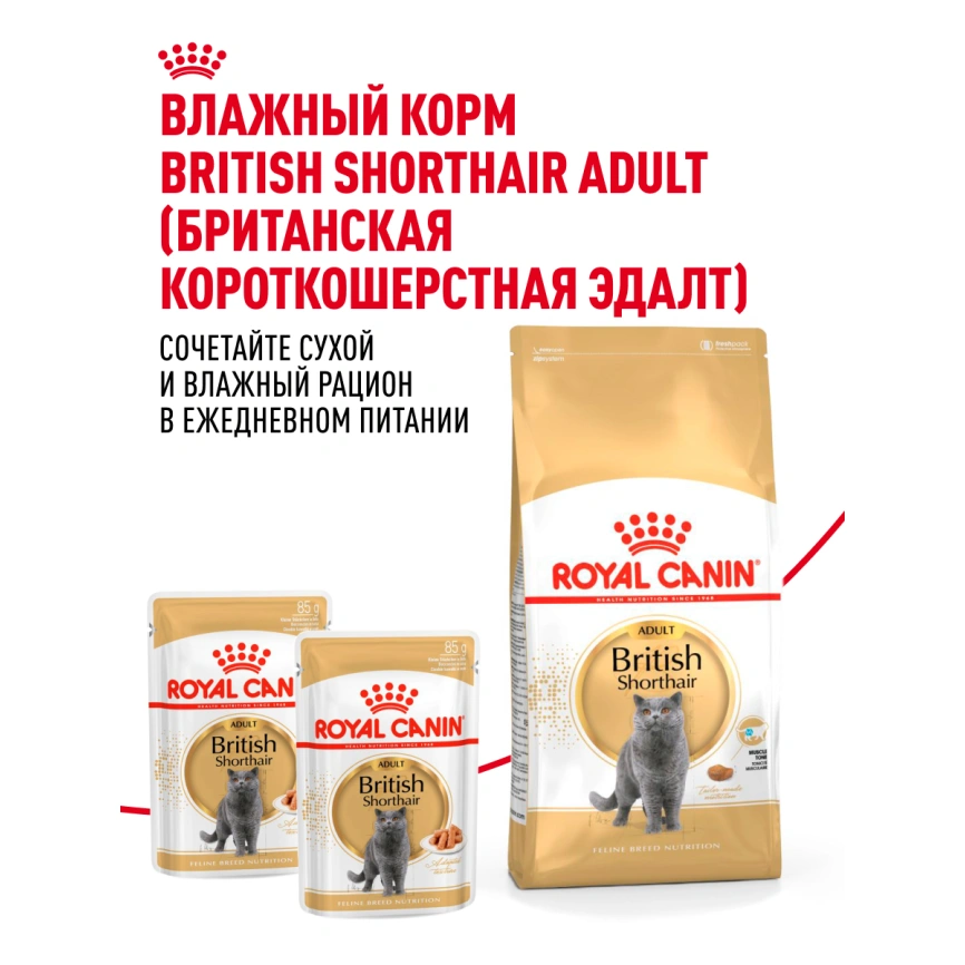 Сухой корм Royal Canin British Shorthair для кошек породы британская короткошерстная, 400 г фото 26