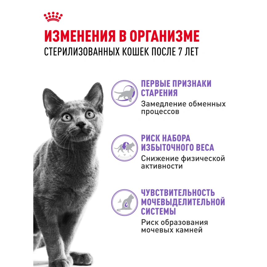 Сухой корм Royal Canin Sterilised 7+ для стерилизованных кошек и кастрированных котов, 3.5 кг фото 15