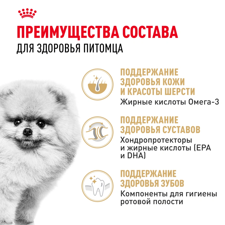 Сухой корм Royal Canin Pomeranian Adult для собак породы померанский шпиц, 1,5 кг фото 3