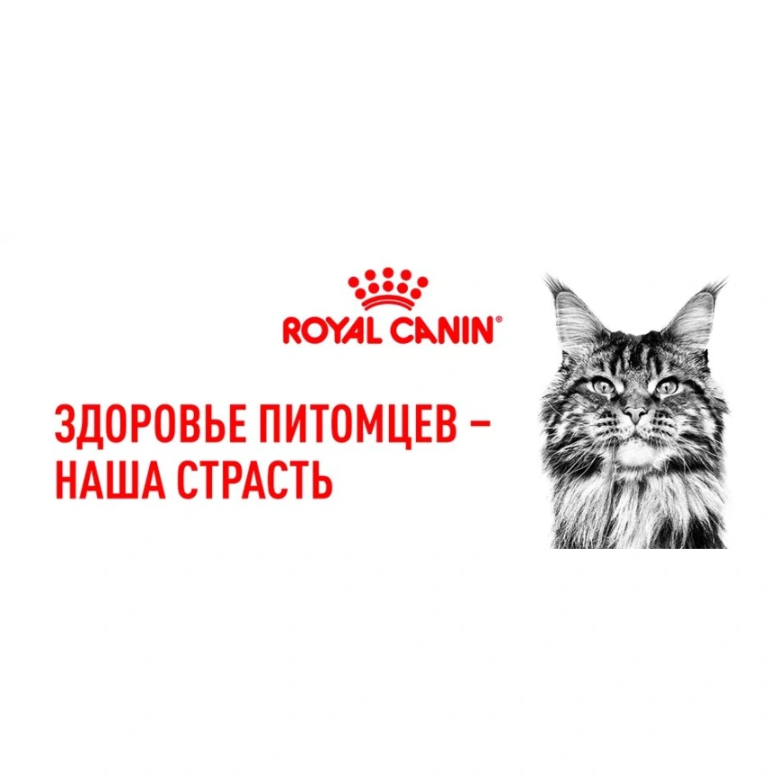 Сухой корм Royal Canin Sterilised для кастрированных котов и стерилизованных кошек, 4 кг фото 20