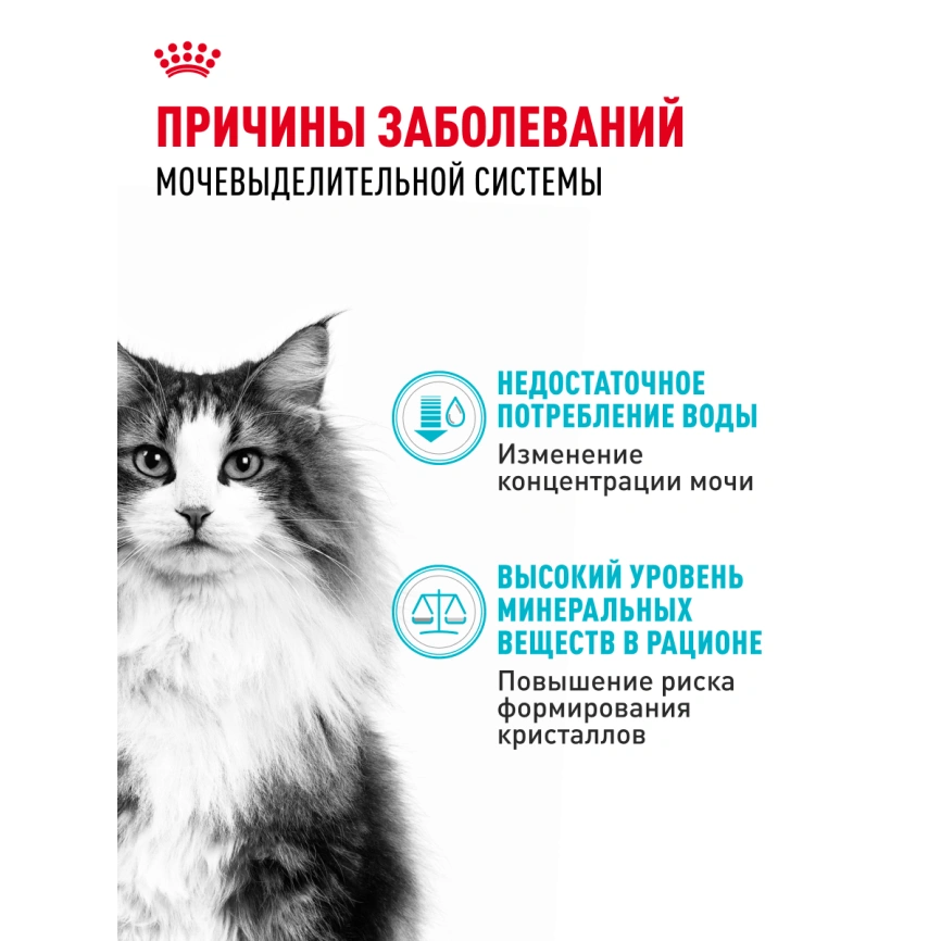 Сухой корм Royal Canin Urinary Care для поддержания здоровья мочевыделительной системы кошек, 4 кг фото 18