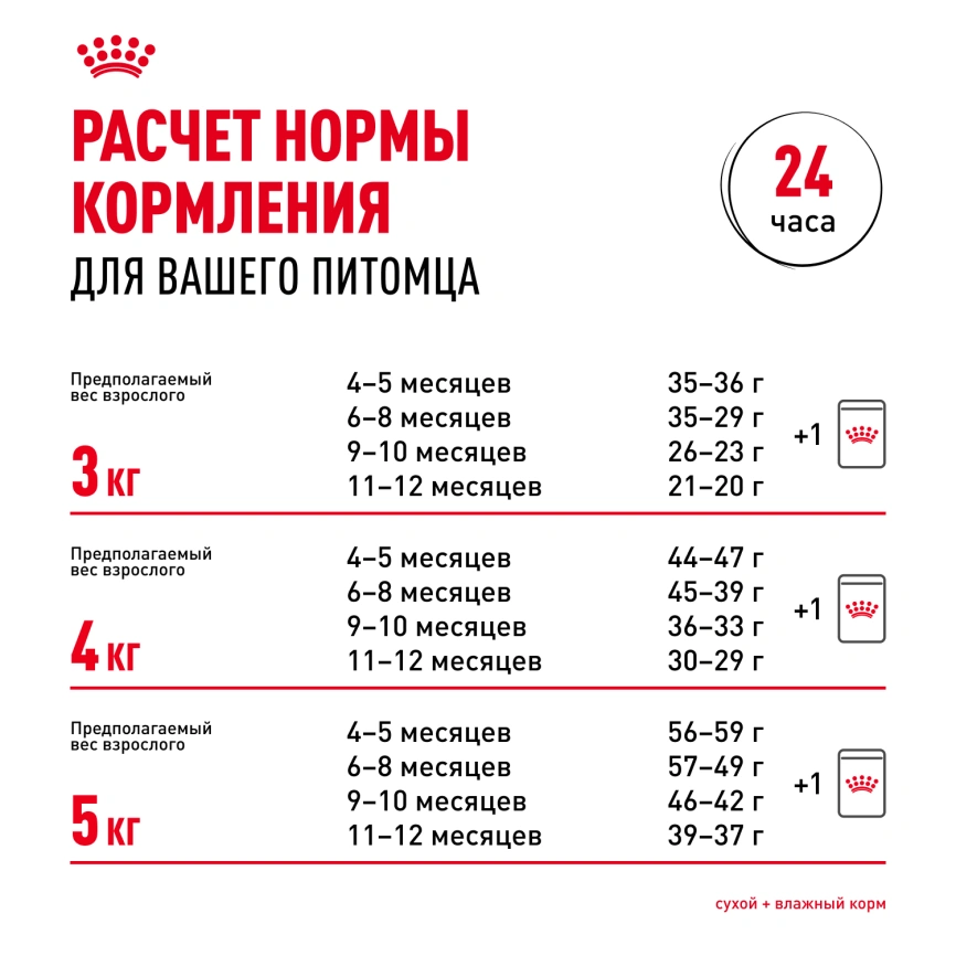Сухой корм Royal Canin Kitten British Shorthair для котят, 400 г фото 9