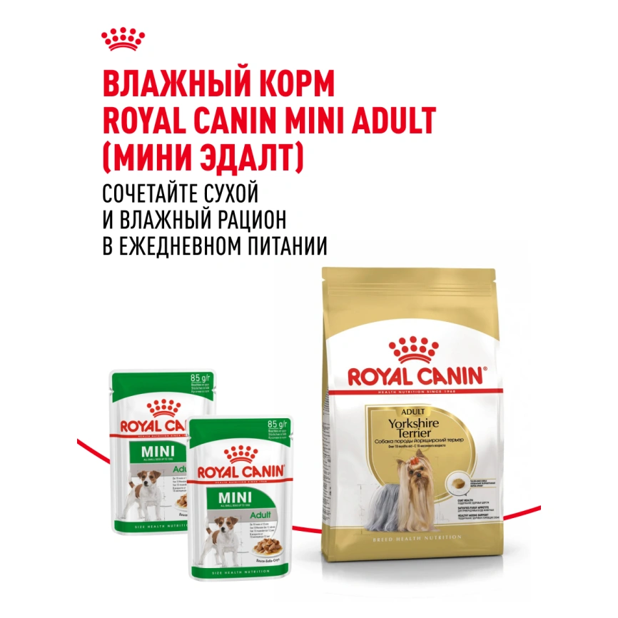 Сухой корм Royal Canin Yorkshire Terrier Adult для взрослых собак, 3 кг фото 11