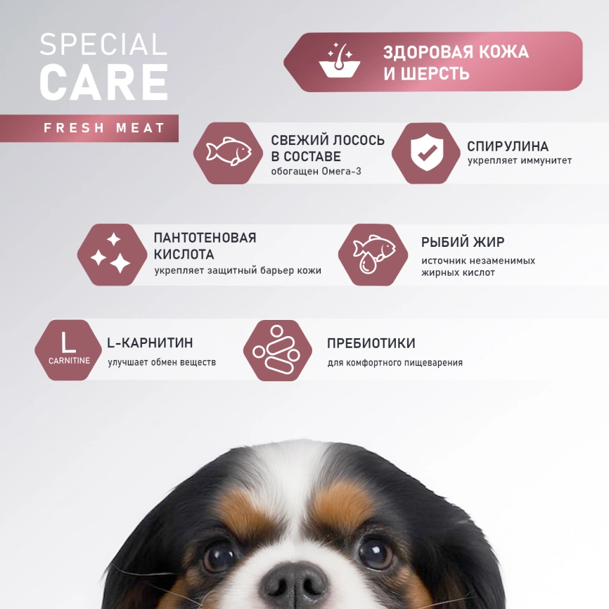 Сухой корм AWARD Special Care Skin & Coat Salmon для взрослых собак всех пород с лососем, 2 кг фото 4