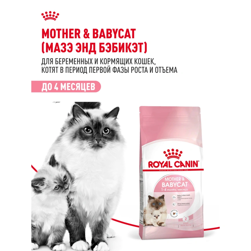 Сухой корм Royal Canin Mother & Babycat для котят, беременных и лактирующих кошек, 400 г фото 14