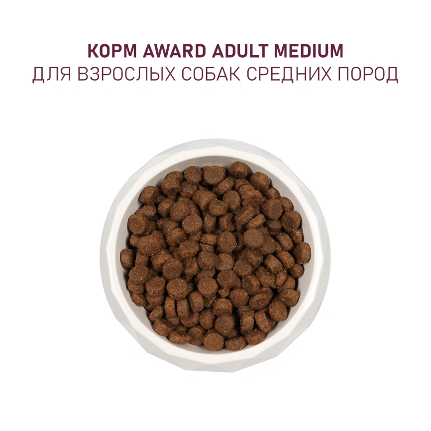 Сухой корм AWARD Turkey & Chicken & Carrot для взрослых собак средних пород с индейкой, курицей и морковью, 2 кг фото 7