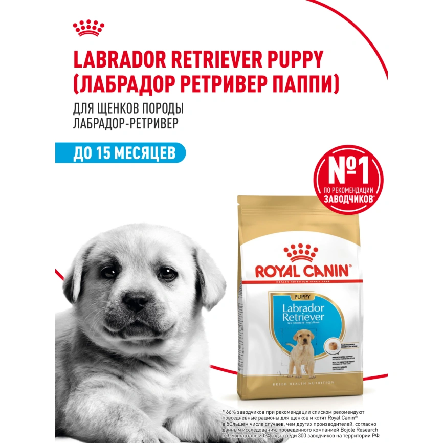 Сухой корм Royal Canin Labrador Retriever Puppy для щенков, 3 кг фото 14