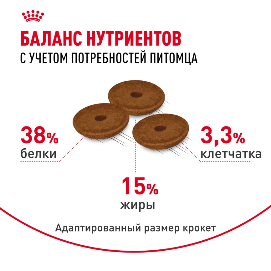 Сухой корм Royal Canin Digestive Care для кошек, 10 кг фото 4