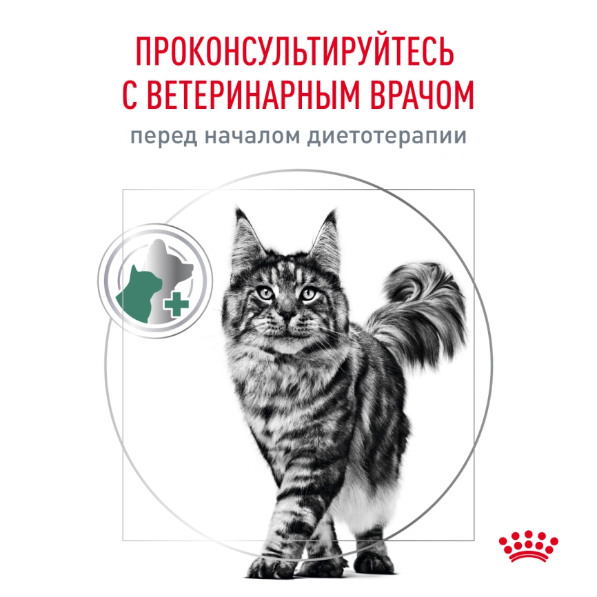 Сухой корм Royal Canin Diabetiс для кошек, 350 г фото 8