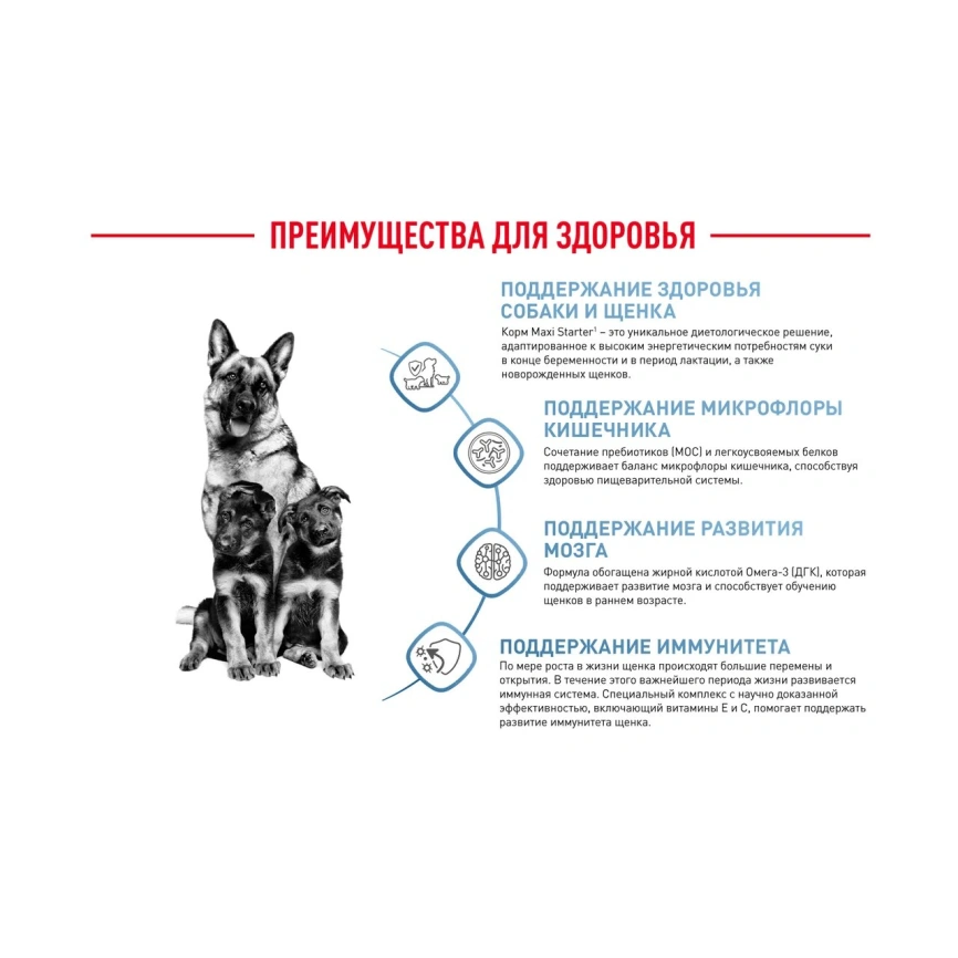 Сухой корм Royal Canin Maxi Starter Mother & Babydog для собак, 15 кг фото 6
