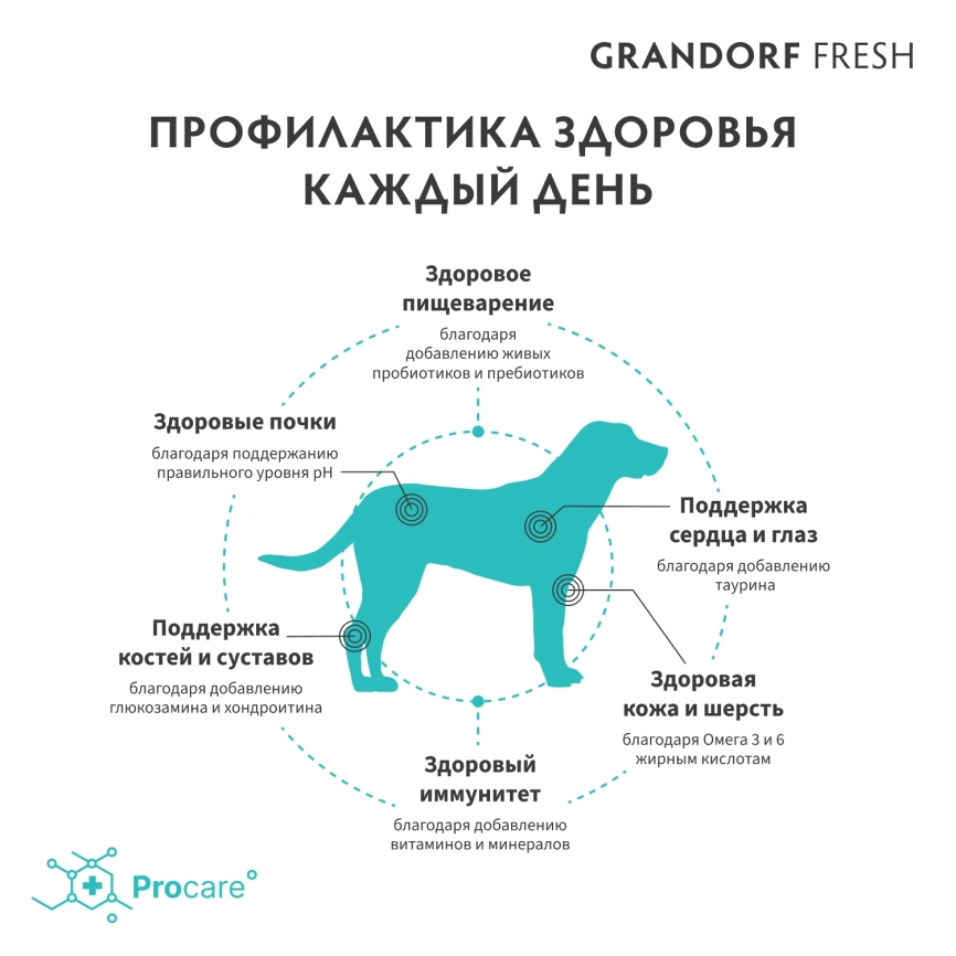 Сухой корм Grandorf Fresh Dog Lamb & Sweet Potato для взрослых собак крупных пород чувствительное пищеварение и гипоаллергенный ягненок, с бататом, 3 кг фото 4