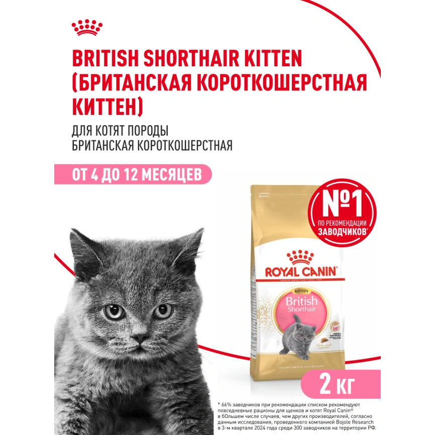 Сухой корм Royal Canin Kitten British Shorthair для котят, 2 кг фото 15