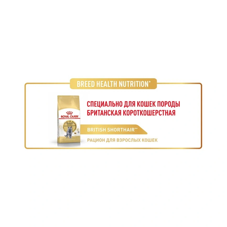 Сухой корм Royal Canin Maine Coon для кошек, 10 кг фото 19