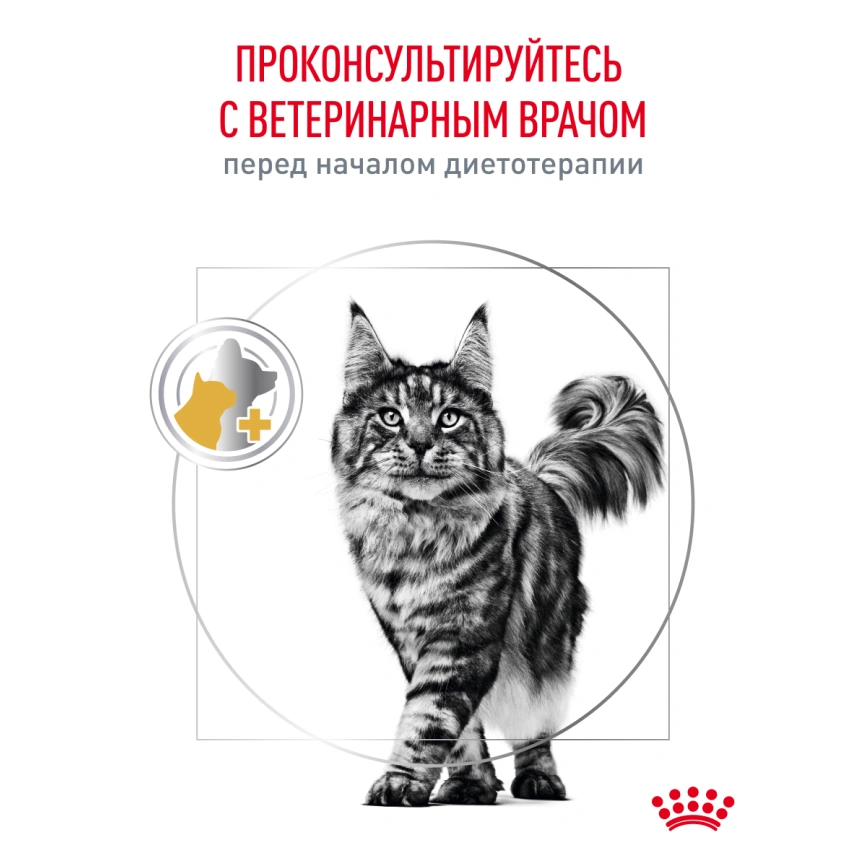 Сухой корм Royal Canin Urinary S/O для кошек при мочекаменной болезни, 350 г фото 19