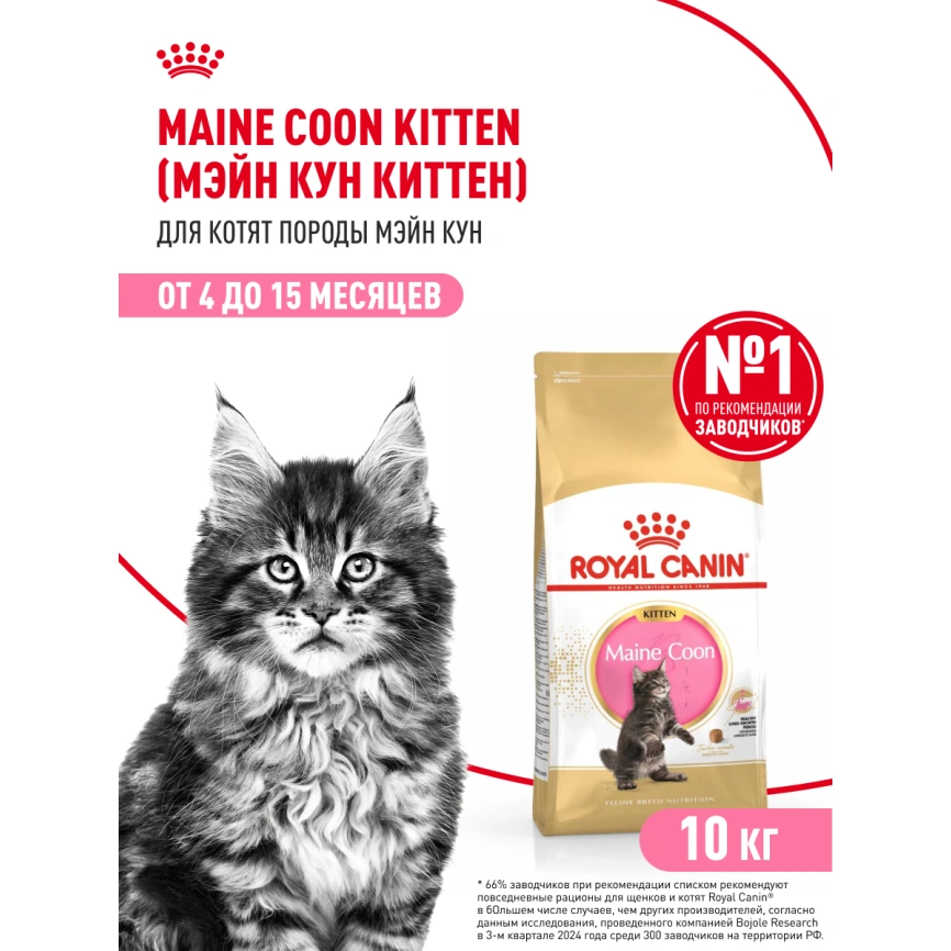 Сухой корм Royal Canin Kitten Maine Coon для котят, 10 кг фото 15
