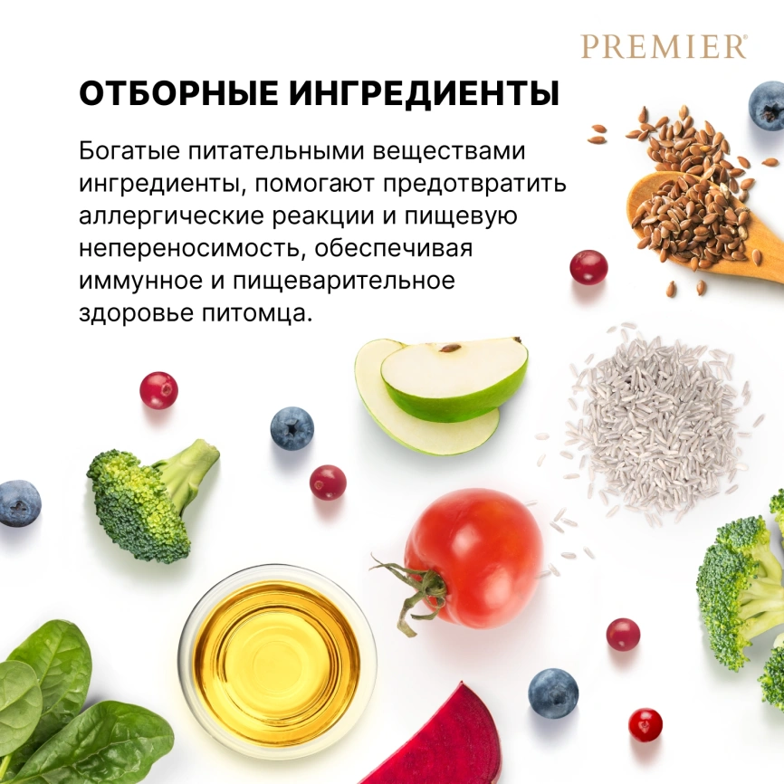 Сухой корм Premier Dog Turkey Adult Medium для собак средних пород, с индейкой, 10 кг фото 7