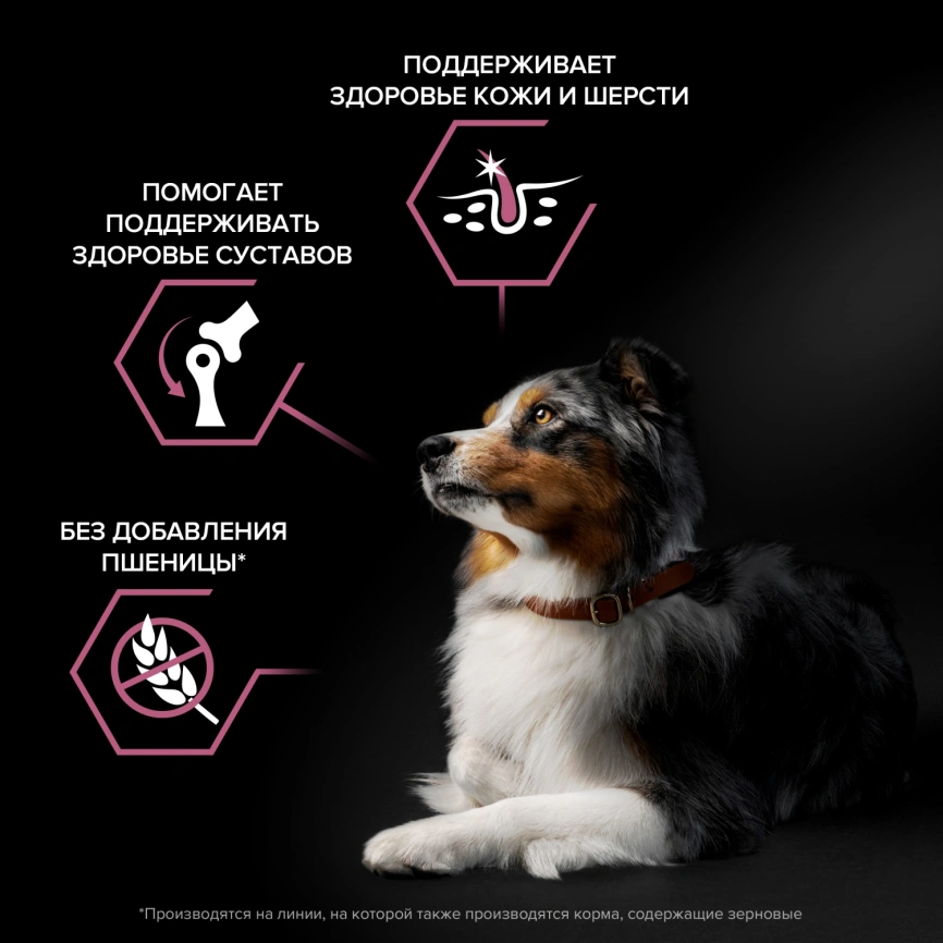 Сухой корм Purina Pro Plan Medium Adult Sensitive Skin Salmon & Rice для собак средних пород, с лососем и рисом, 18 кг фото 3