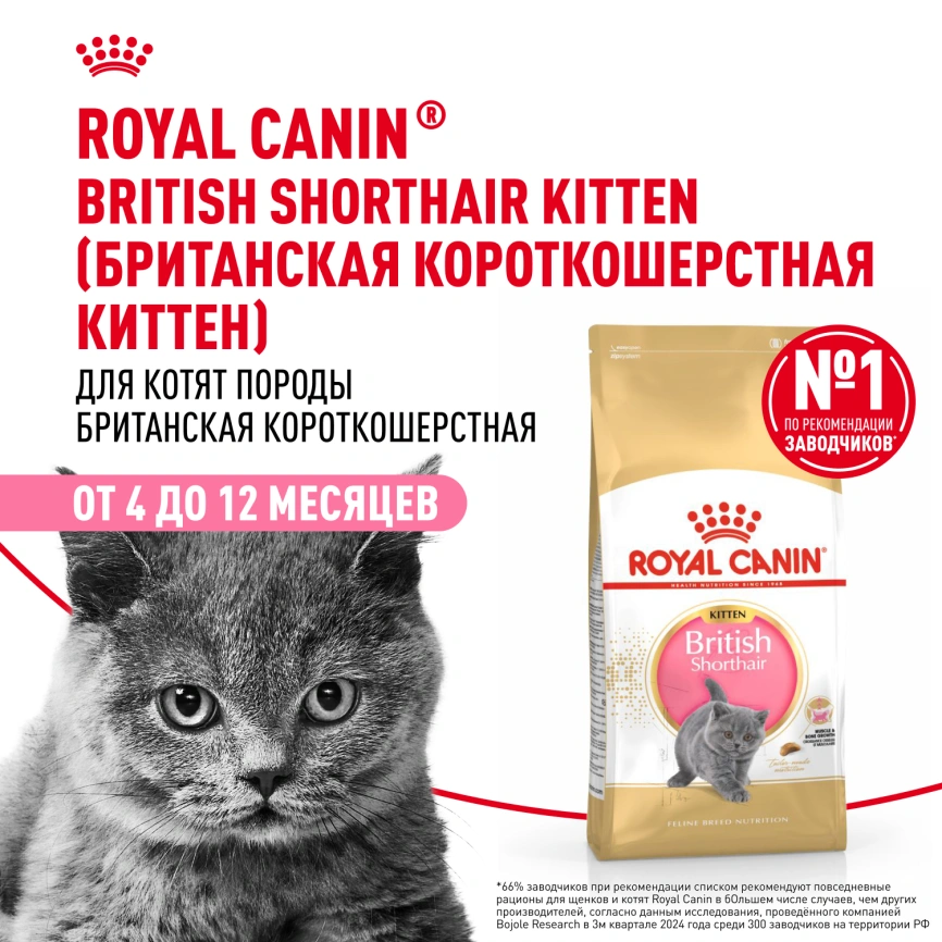 Сухой корм Royal Canin Kitten British Shorthair для котят, 400 г фото 13