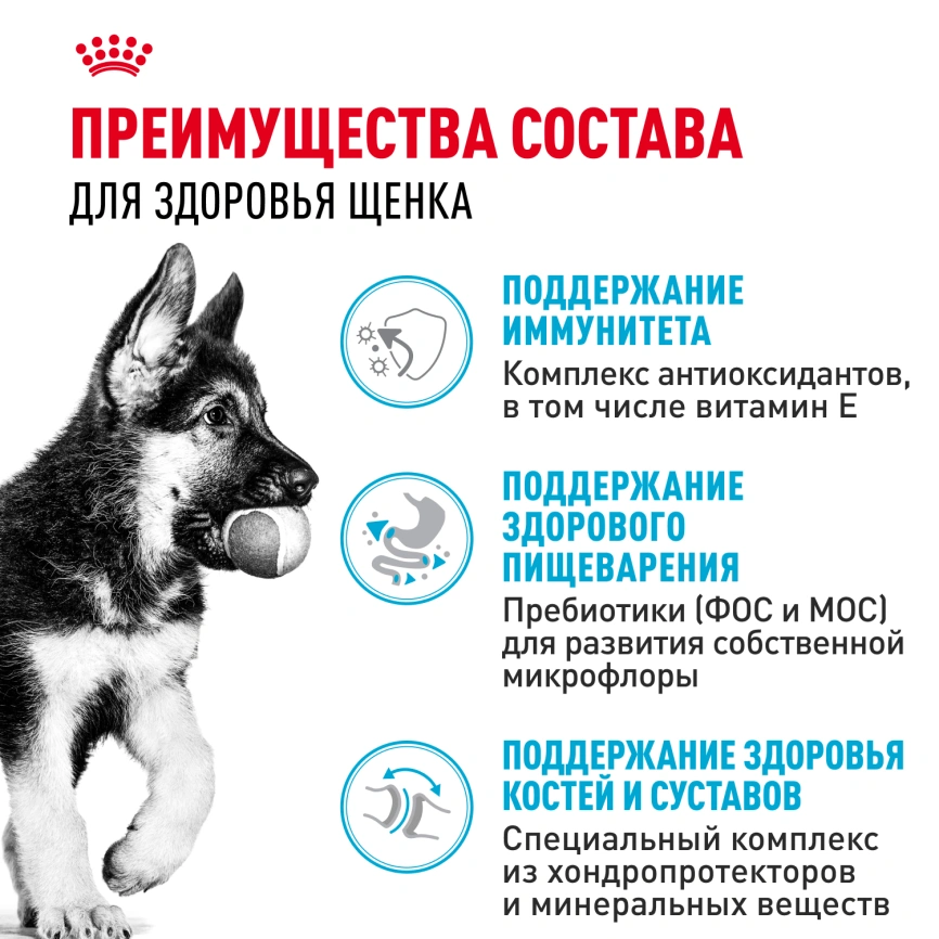 Сухой корм Royal Canin German Shepherd Puppy для щенков, 3 кг фото 3