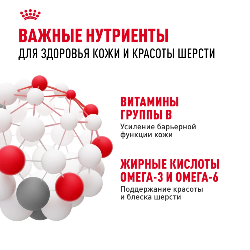 Сухой корм Royal Canin Mini Dermacomfort для собак, 3 кг фото 5