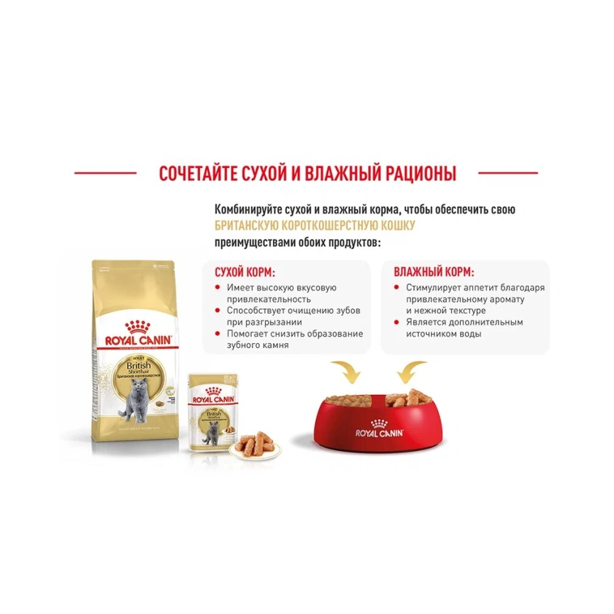 Сухой корм Royal Canin British Shorthair для кошек породы британская короткошерстная, 400 г фото 20