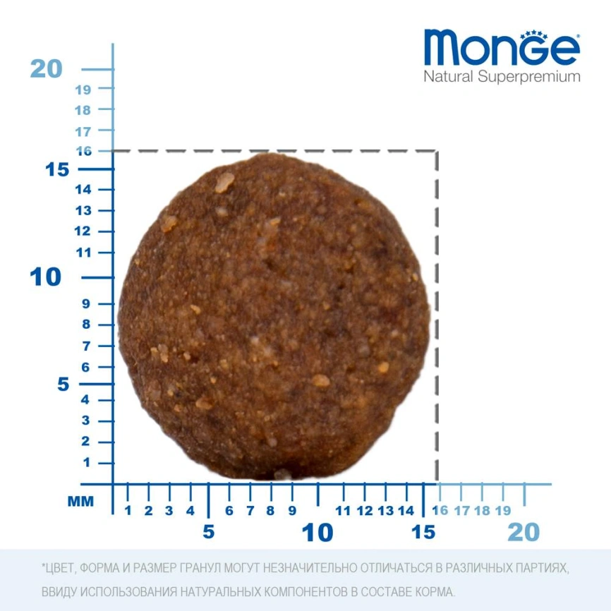 Сухой корм Monge Dog Speciality Line Monoprotein Lamb & Rice & Potato для взрослых собак всех пород с мясом ягненка, рисом и картофелем, 12 кг фото 4