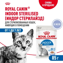 Влажный корм Royal Canin Indoor в желе для кошек, живущих в помещении, пауч, 85 г