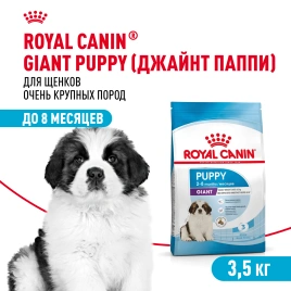 Сухой корм Royal Canin Giant Puppy для щенков, 3.5 кг