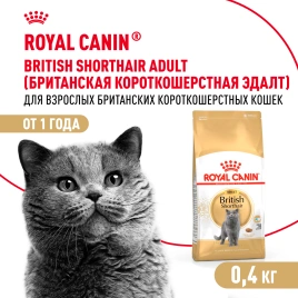 Сухой корм Royal Canin British Shorthair для кошек породы британская короткошерстная, 400 г
