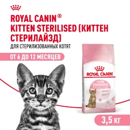 Сухой корм Royal Canin Kitten Sterilised для котят, 3.5 кг