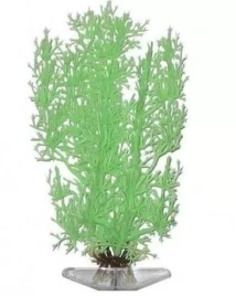 Растение Penn-Plax Stonewort Nitella зеленый светящийся пластик, 27 см